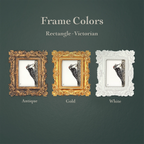 A product color comparison graphic showing three ornate rectangular Victorian-style frames on a dark green textured background. Text at the top reads 'Frame Colors' and 'Rectangle - Victorian,' with labels below the frames reading 'Antique,' 'Gold,' and 'White.