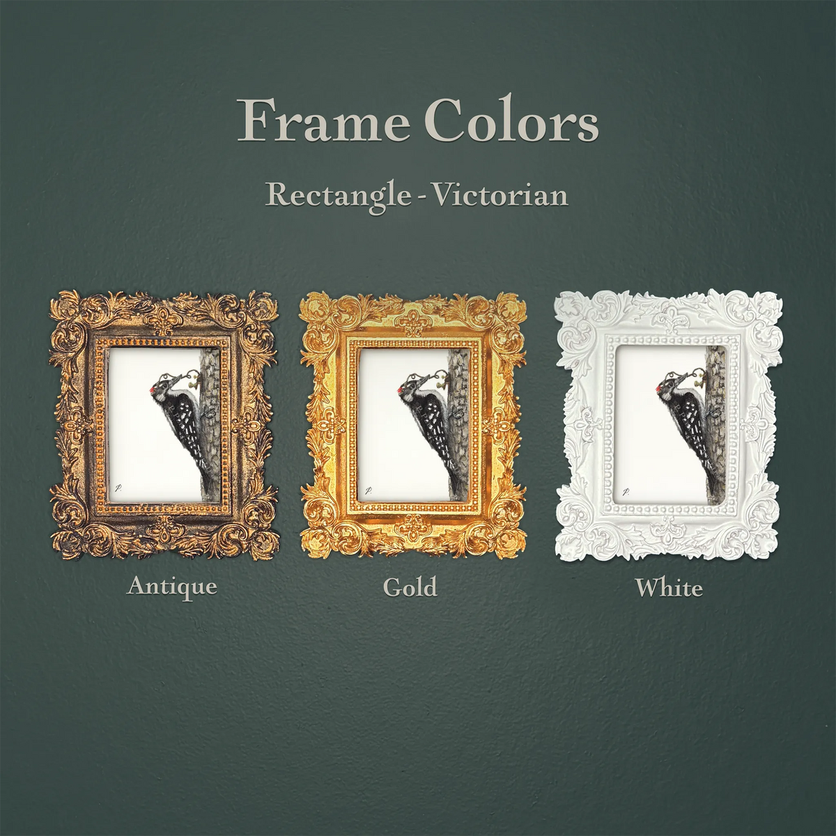 A product color comparison graphic showing three ornate rectangular Victorian-style frames on a dark green textured background. Text at the top reads 'Frame Colors' and 'Rectangle - Victorian,' with labels below the frames reading 'Antique,' 'Gold,' and 'White.