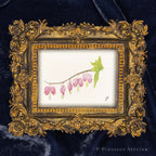 Bleeding Hearts, Framed Masterpiece by P. Pleasant Atelier, antique gold and white frame with Art Fairy Magic