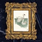 Art fairy magic framed illustration with a swan on water, set in an ornate gold border