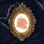 Phoebe Poppy framed wall art portrait oval by P. Pleasant Atelier with gold Fairy Magic Art details