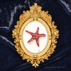 Zesty Red Framed Masterpiece by P. Pleasant Atelier, framed wall art with gold Fairy Magic star