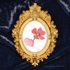 Lo Poppy by P. Pleasant Atelier framed oval portrait artwork with gold Fairy Magic details