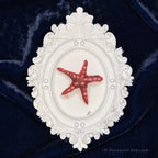 Zesty Red Framed Masterpiece by P. Pleasant Atelier, Fairy Art with Magic starfish in a white shield frame