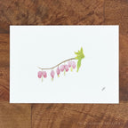 Bleeding Hearts 5 x 7 inch fine art print by P. Pleasant Atelier with Fairy Art Magic