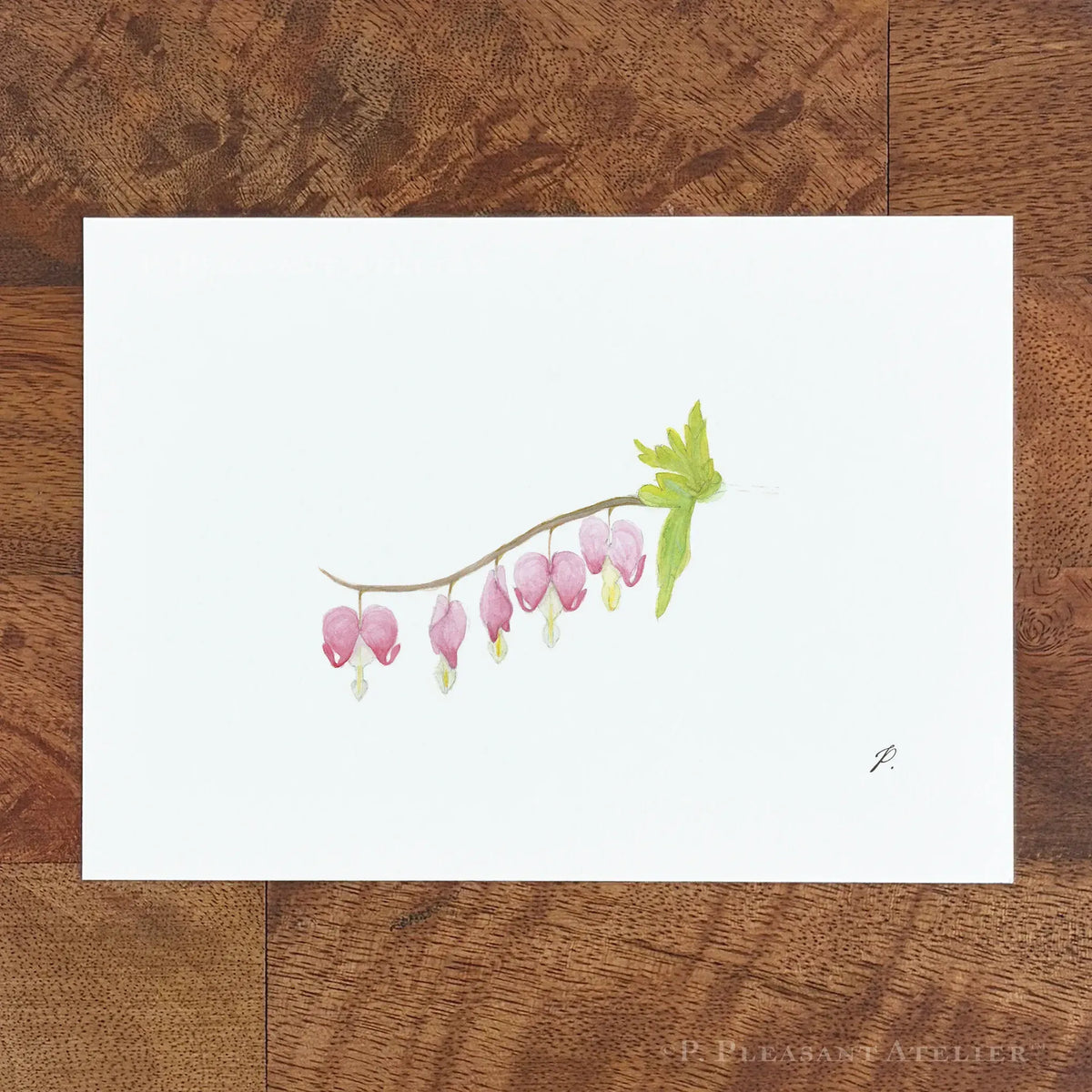 Bleeding Hearts 5 x 7 inch fine art print by P. Pleasant Atelier with Fairy Art Magic