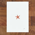 Zesty Orange 5 x 7 inch fine art print by P. Pleasant Atelier with Fairy Art Magic star
