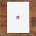 Zesty Red 5 x 7 inch Fine Art Print by P. Pleasant Atelier, Fairy Magic Art with a red starfish