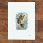 Walleye 5 x 7 inch fine art print by P. Pleasant Atelier with Fairy Magic Art style