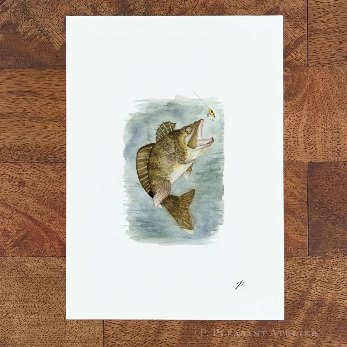 Walleye 5 x 7 inch fine art print by P. Pleasant Atelier with Fairy Magic Art style
