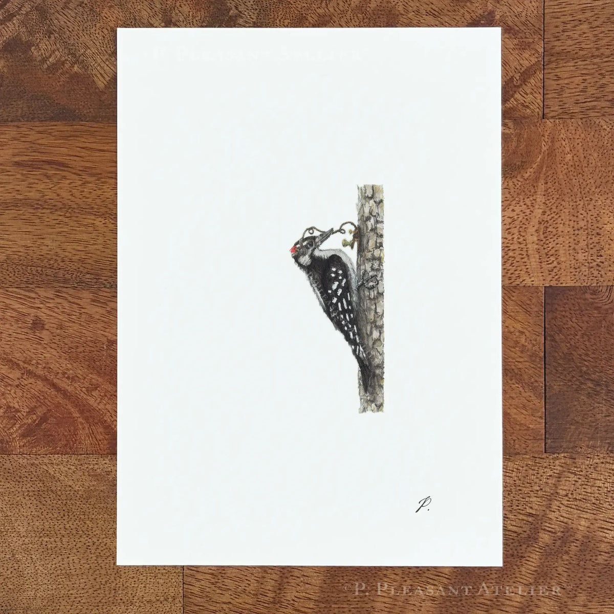 Howard, the OG Telegrapher 5 x 7 inch fine art print by P. Pleasant Atelier, with Fairy Magic Art