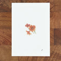 Muffy Poppy 5 x 7 inch fine art print by P. Pleasant Atelier with Fairy Magic Art flowers