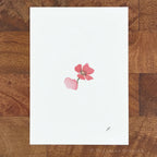 Lo Poppy 5 x 7 inch fine art print by P. Pleasant Atelier with Fairy Art Magic floral design