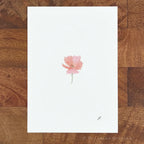 Joni Poppy 5 x 7 inch fine art print by P. Pleasant Atelier with Fairy Magic Art flower on paper