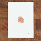 Phoebe Poppy 5 x 7 inch fine art print by P. Pleasant Atelier with Fairy Magic Art flower