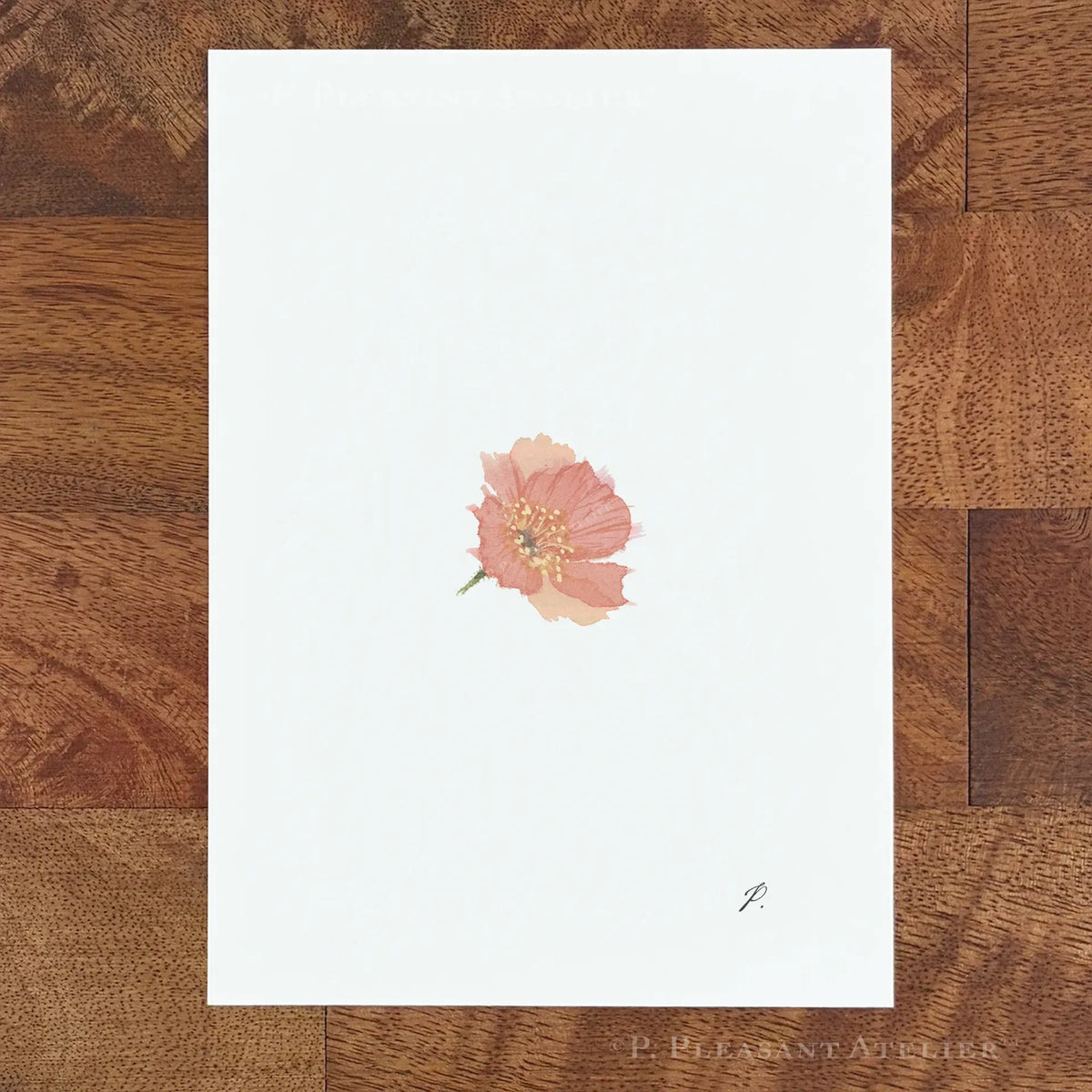 Phoebe Poppy 5 x 7 inch fine art print by P. Pleasant Atelier with Fairy Magic Art flower