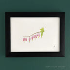 Bleeding Hearts 5 x 7 inch Fine Art Print by P. Pleasant Atelier with Fairy Art and Magic accents