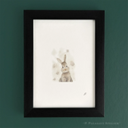 Dust Bunny 5 x 7 inch fine art print by P. Pleasant Atelier with Fairy Art and Magic accents