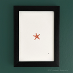 Zesty Orange 5 x 7 inch fine art print by P. Pleasant Atelier with Art fairy magic