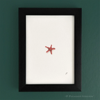 Zesty Red 5 x 7 inch Fine Art Print by P. Pleasant Atelier with Fairy Magic Art theme