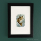 Walleye 5 x 7 inch fine art print by P. Pleasant Atelier, Fairy Magic Art in a framed wall display