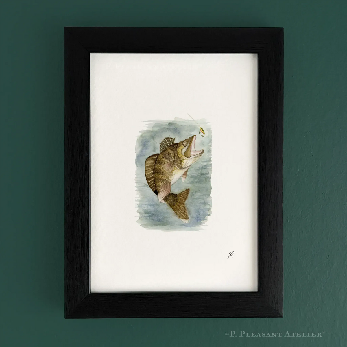 Walleye 5 x 7 inch fine art print by P. Pleasant Atelier, Fairy Magic Art in a framed wall display