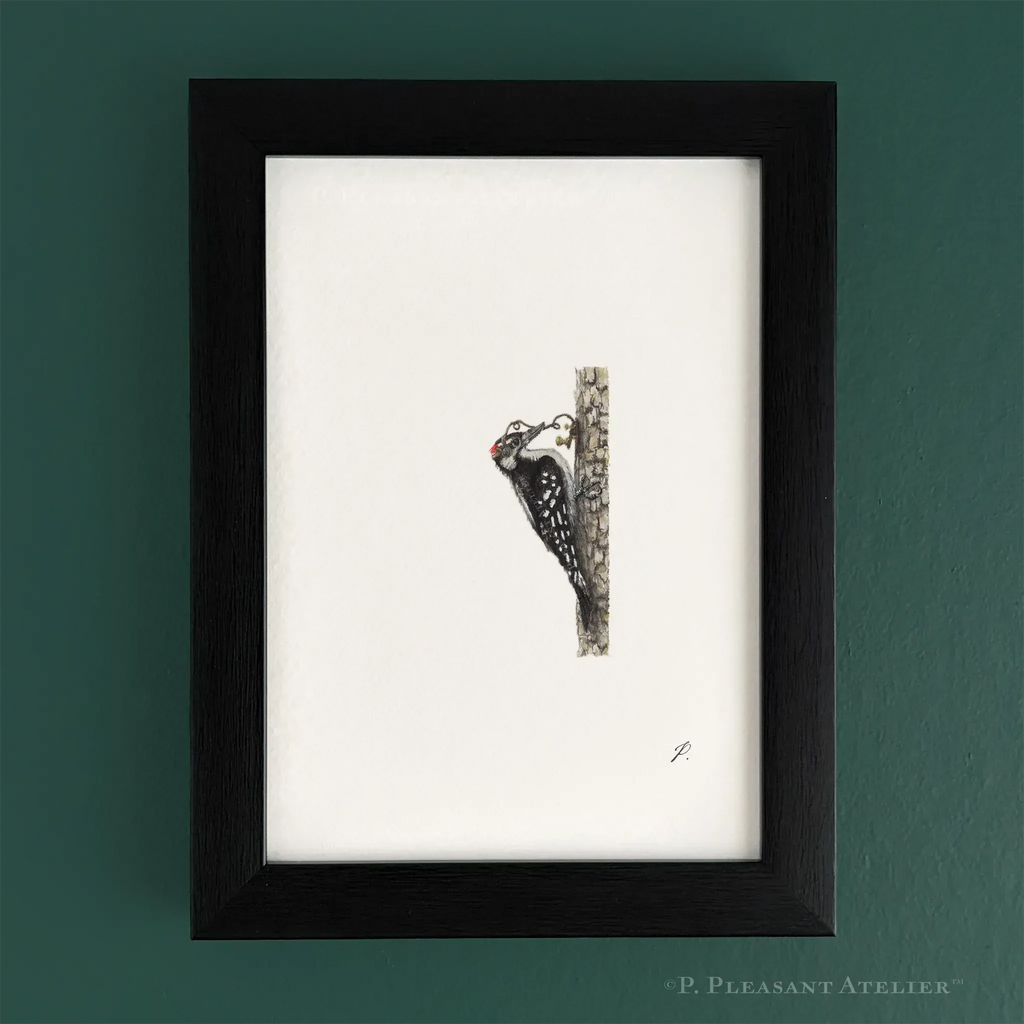 Howard, the OG Telegrapher 5 x 7 inch fine art print by P. Pleasant Atelier with Fairy Magic Art