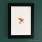 Muffy Poppy 5 x 7 inch fine art print by P. Pleasant Atelier with Fairy Magic Art flowers