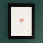 Joni Poppy 5 x 7 inch fine art print by P. Pleasant Atelier with Fairy Magic Art flower