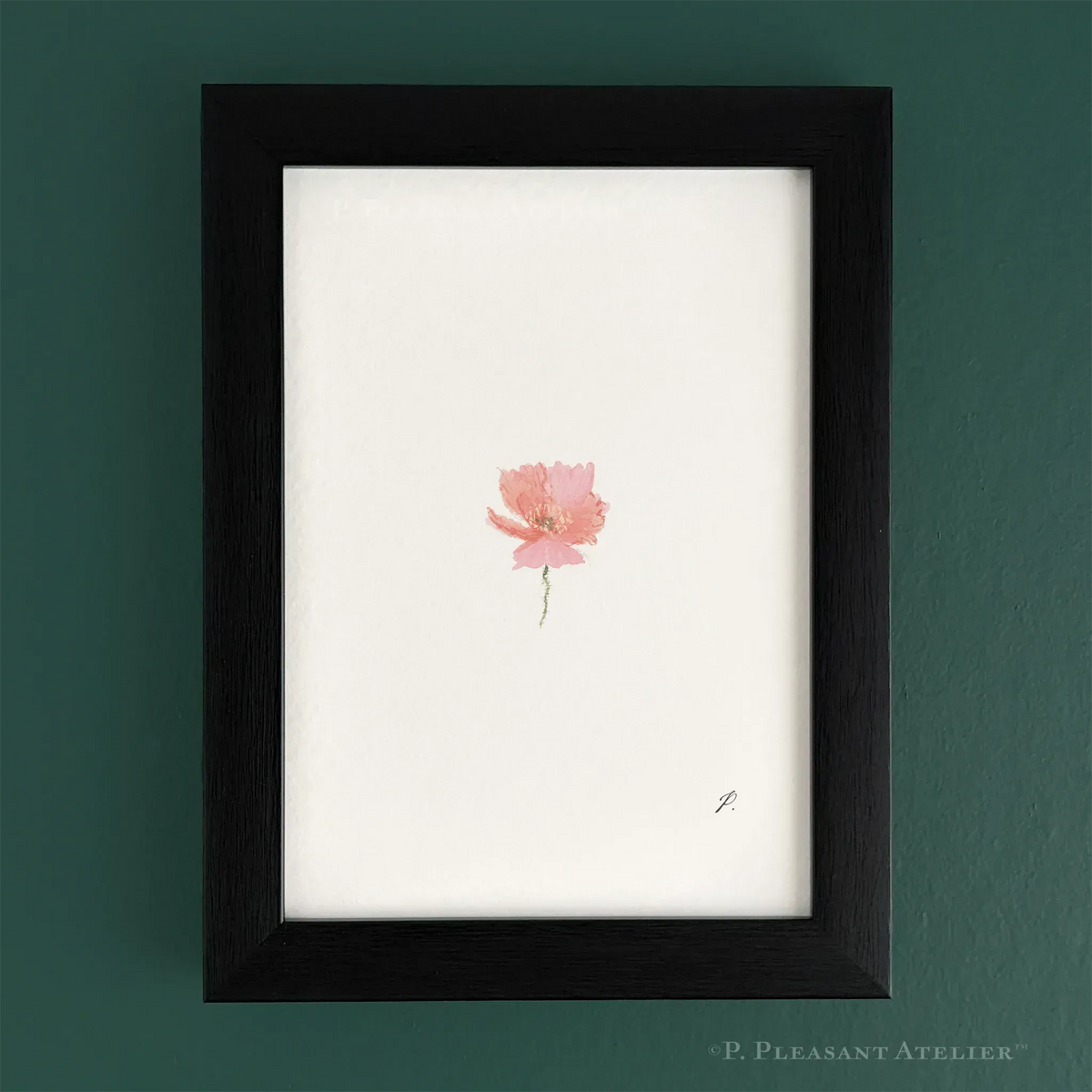 Joni Poppy 5 x 7 inch fine art print by P. Pleasant Atelier with Fairy Magic Art flower