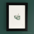 Swan Prospect Park by P. Pleasant Atelier fine art print with Fairy Magic Art, framed black wood