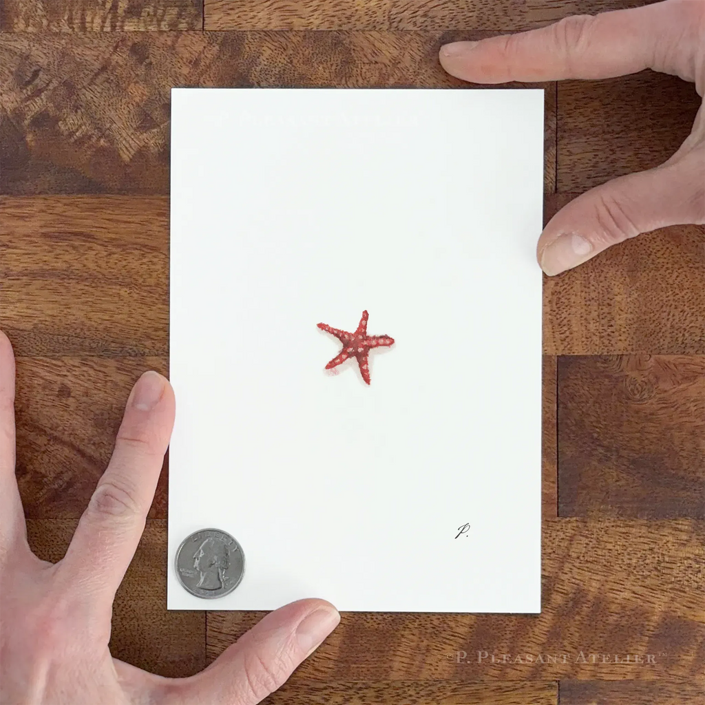 Zesty Red 5 x 7 inch Fine Art Print by P. Pleasant Atelier, Fairy Art Magic, red starfish