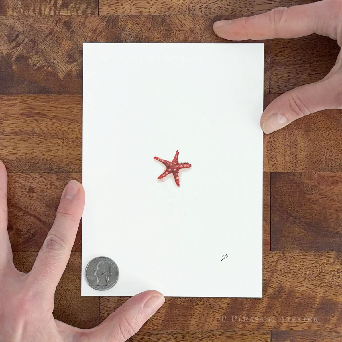 Zesty Red 5 x 7 inch Fine Art Print by P. Pleasant Atelier, Fairy Art Magic, red starfish