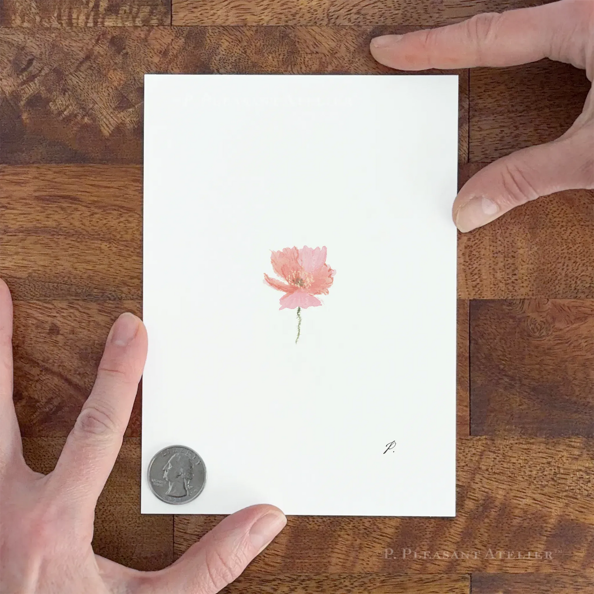 Joni Poppy 5 x 7 inch fine art print by P. Pleasant Atelier with Fairy Magic art flower