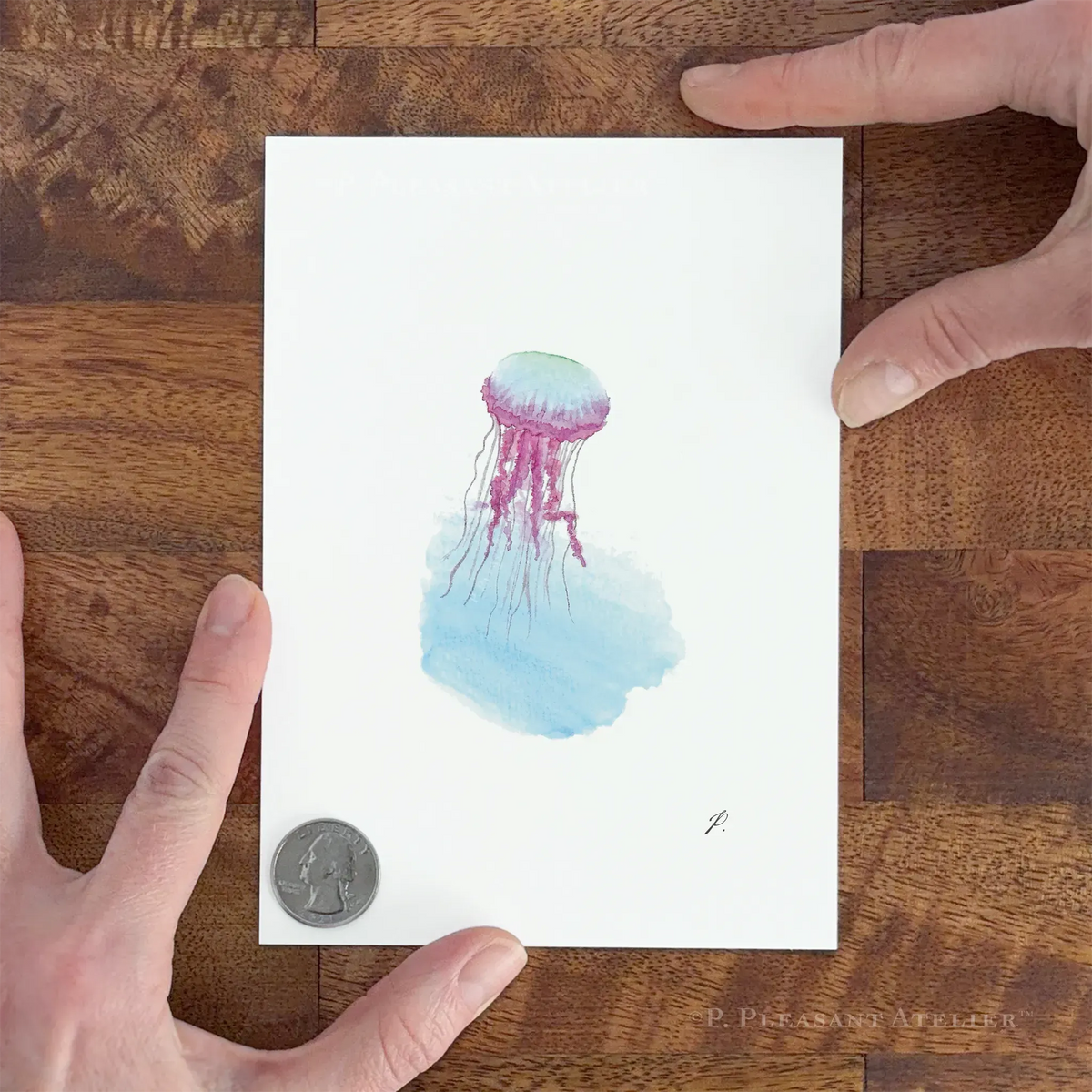 Jellyfish 5 x 7 inch fine art print by P. Pleasant Atelier with Fairy Magic Art jellyfish