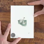 Swan Prospect Park Fine Art Print by P. Pleasant Atelier with Art Fairy Magic details on white paper