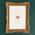 Zesty Red 5 x 7 inch fine art print by P. Pleasant Atelier with Fairy Magic Art and a starfish