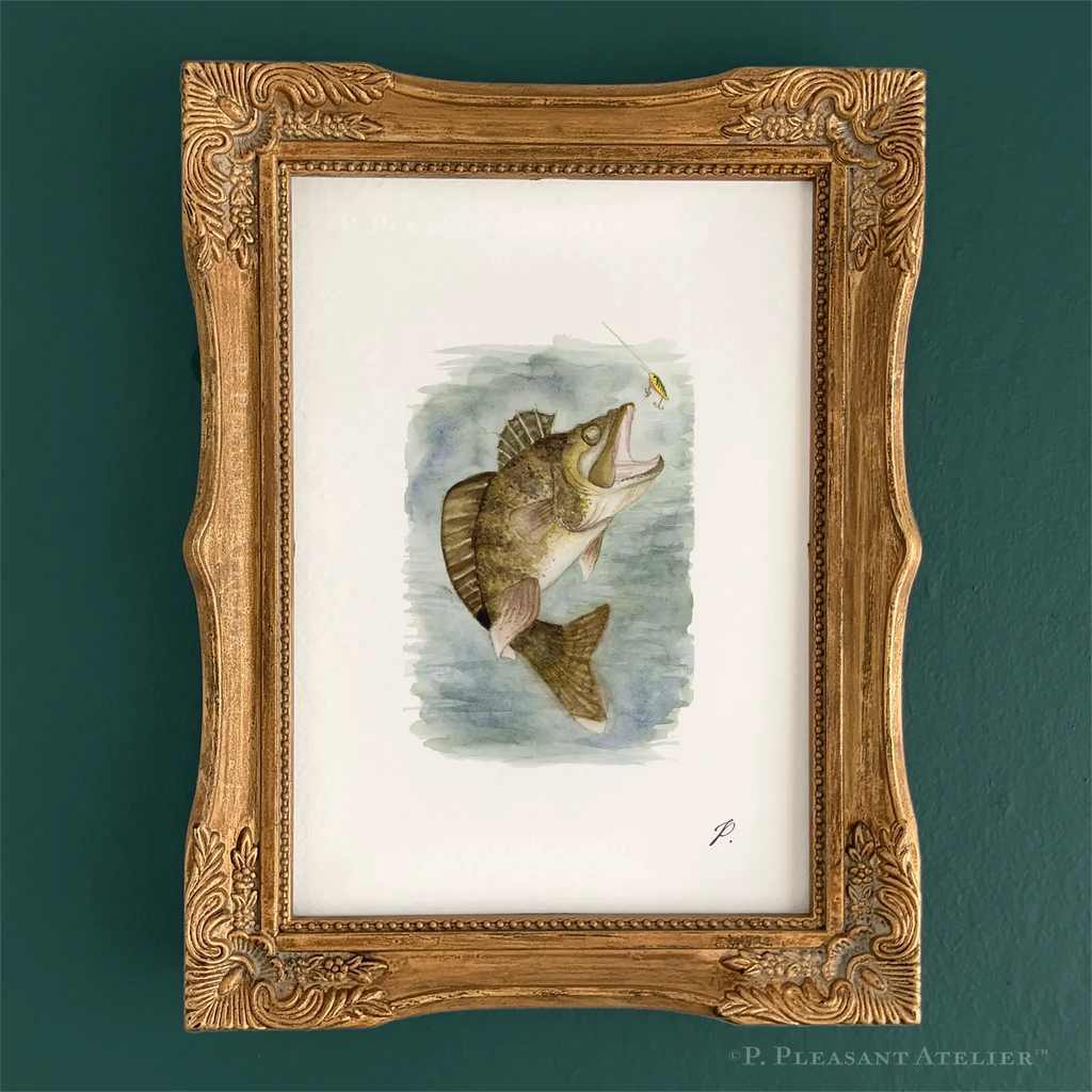Walleye 5 x 7 inch fine art print by P. Pleasant Atelier, Art Fairy Magic in a gold framed display