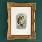 Walleye 5 x 7 inch fine art print by P. Pleasant Atelier, Art Fairy Magic in a gold framed display