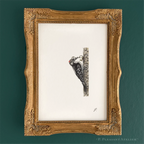 Howard, the OG Telegrapher 5 x 7 inch fine art print by P. Pleasant Atelier with Art Fairy Magic