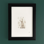 Art fairy magic illustration of a rabbit with small floating shapes inside a dark wooden frame