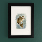 Art fairy magic illustration of a gold fish leaping from blue water, framed in a dark wooden border