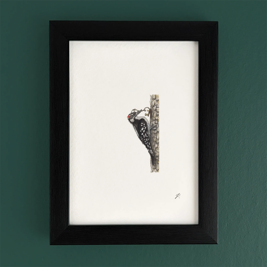 Art fairy magic illustration in a black frame, showing a small figure peeking from behind a stone wall