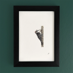 Art fairy magic illustration in a black frame, showing a small figure peeking from behind a stone wall