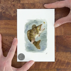 "Walleye" – 5 x 7" Fine Art Print