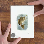 "Walleye" – 5 x 7" Fine Art Print