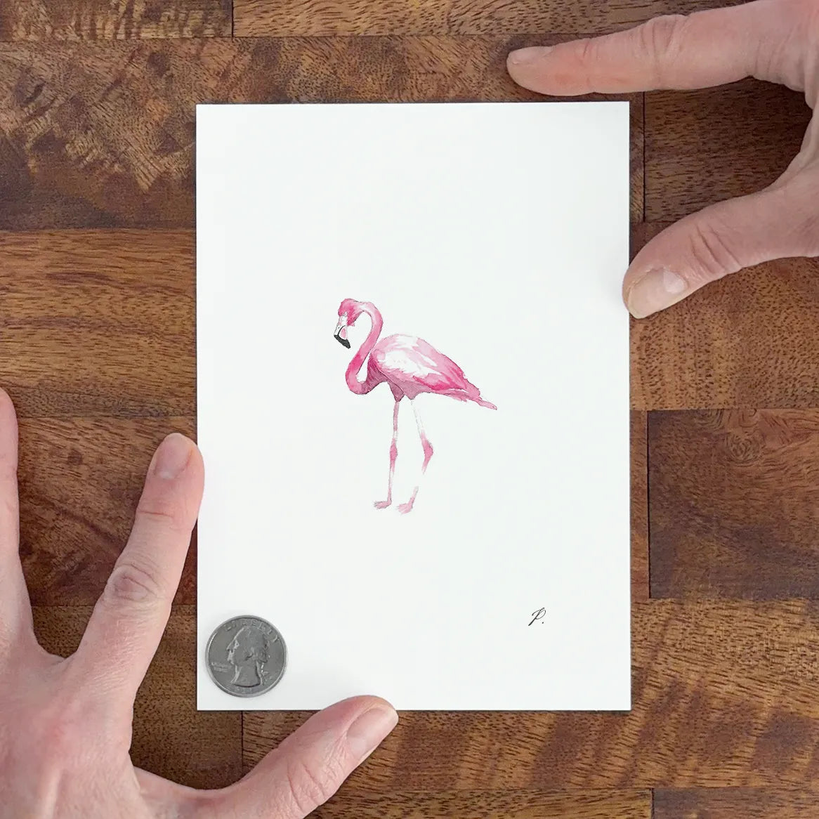 "Flamingo" – 5 x 7" Fine Art Print
