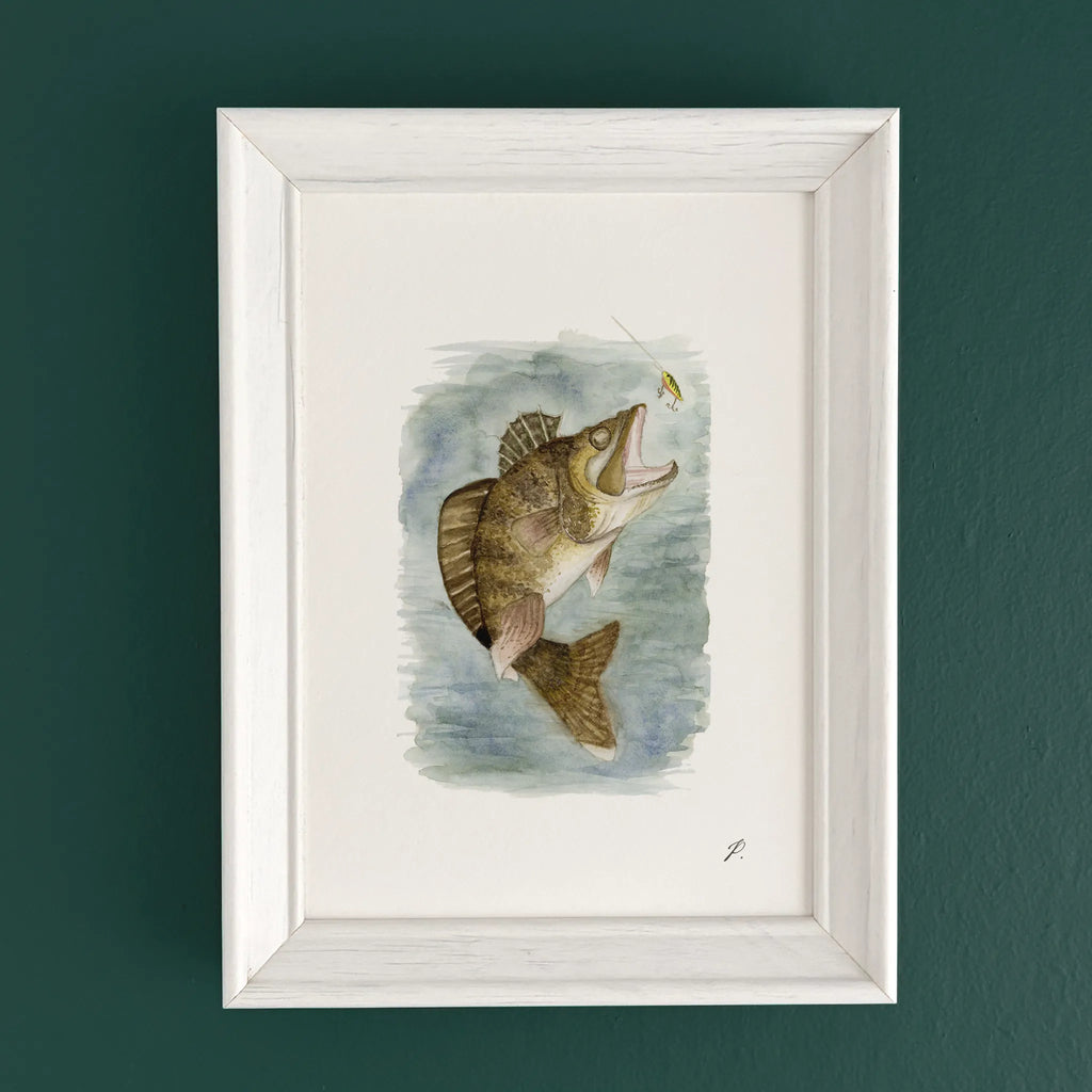 "Walleye" – 5 x 7" Fine Art Print