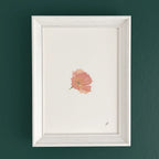 "Phoebe (Poppy)" – 5 x 7" Fine Art Print