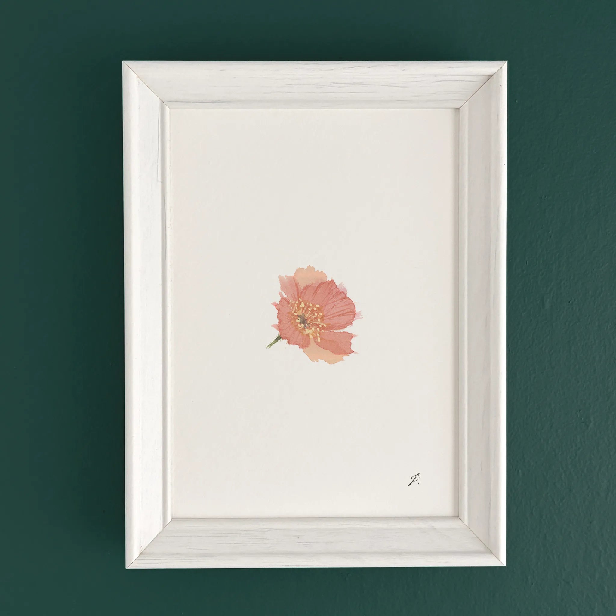 "Phoebe (Poppy)" – 5 x 7" Fine Art Print